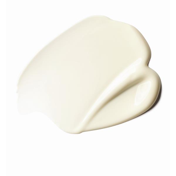 https://cdn.shopify.com/s/files/1/1291/3633/products/3337875797719_2.jpg?v=1742469841