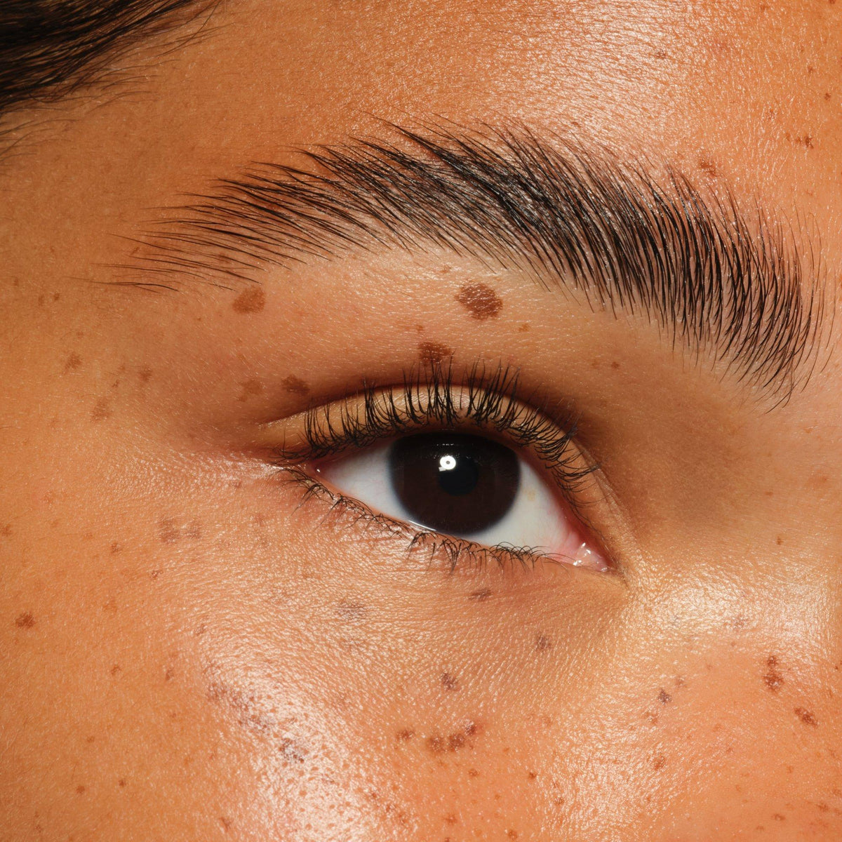 essence Brow Lifter Extreme Transparent Gel