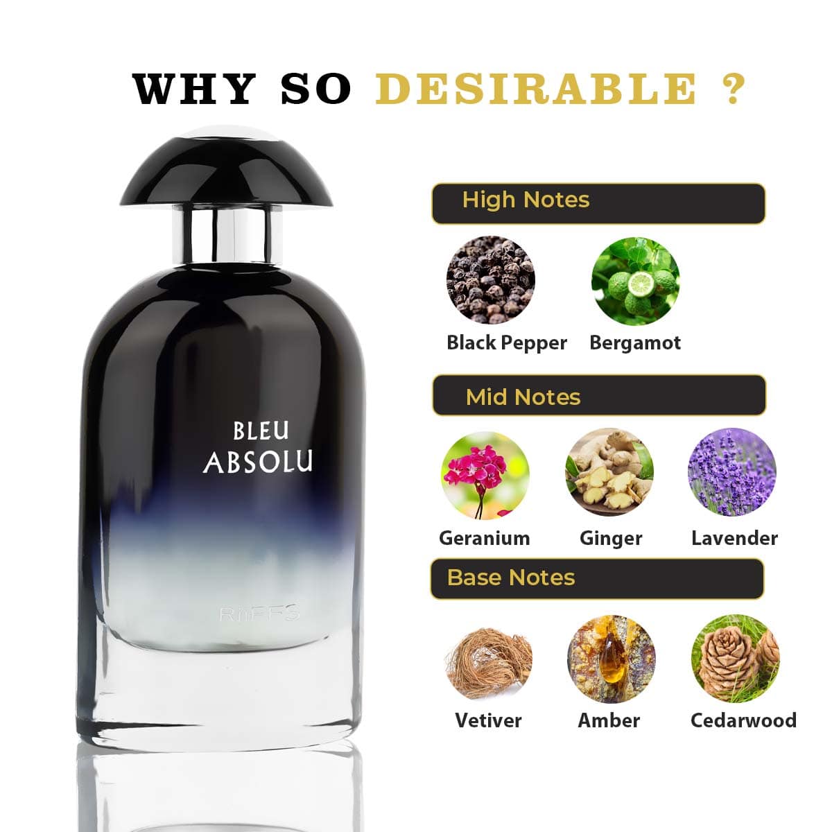 Riiffs Bleu Absolue Men's Woody Fougère Eau de Parfum 100 ml