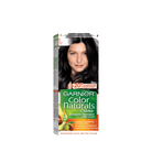 Garnier Color Naturals Nourishing Permanent Hair Color