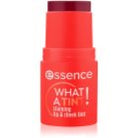 essence WHAT A TINT! Multi-Purpose Lip and Cheek Tint Raspberry
