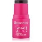 essence WHAT A TINT! Multi-Purpose Lip and Cheek Tint Raspberry
